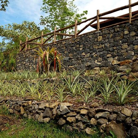 לינה וארוחת בוקר Paraíso Finca Estacion Descansos מראה חיצוני תמונה