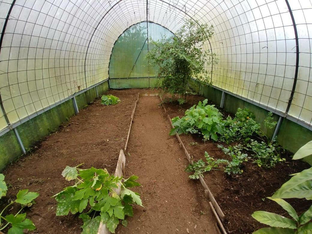 לינה וארוחת בוקר Paraíso Finca Estacion Descansos מראה חיצוני תמונה
